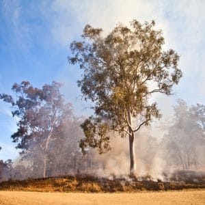 Managing Fire on Your Property