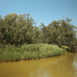 Makeover of Browns Creek, Taree