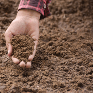 Soil in the Farm System