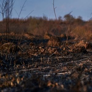 Soil Health Post Fire and Drought