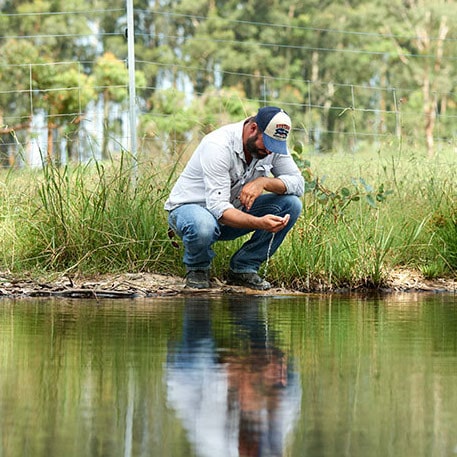 Buladelah-Sustainable-Farming-Group-Landcare