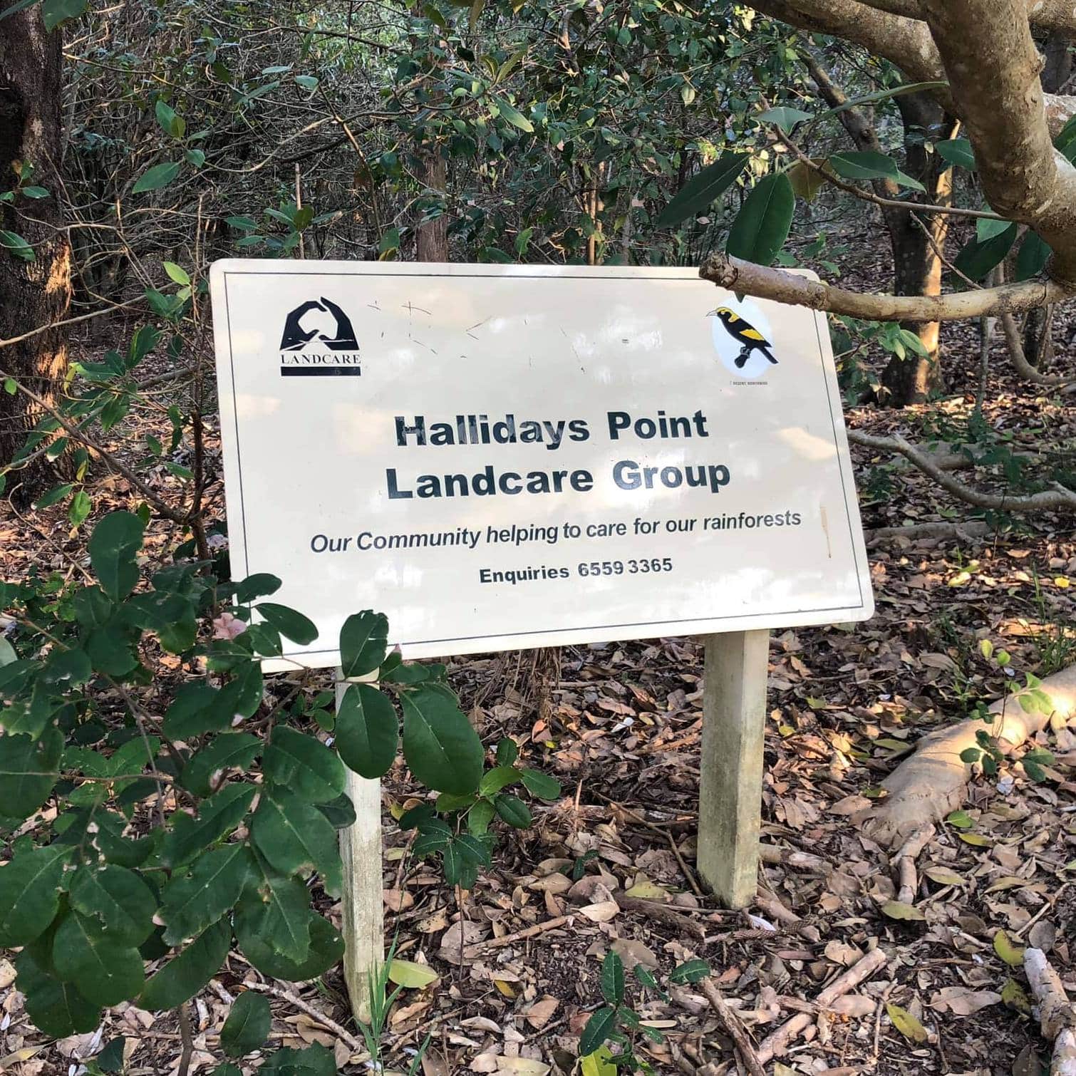 Hallidays-Point-Landcare