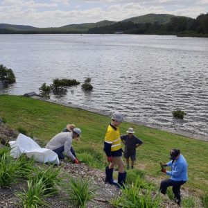Karuah River Catchment Landcare Group