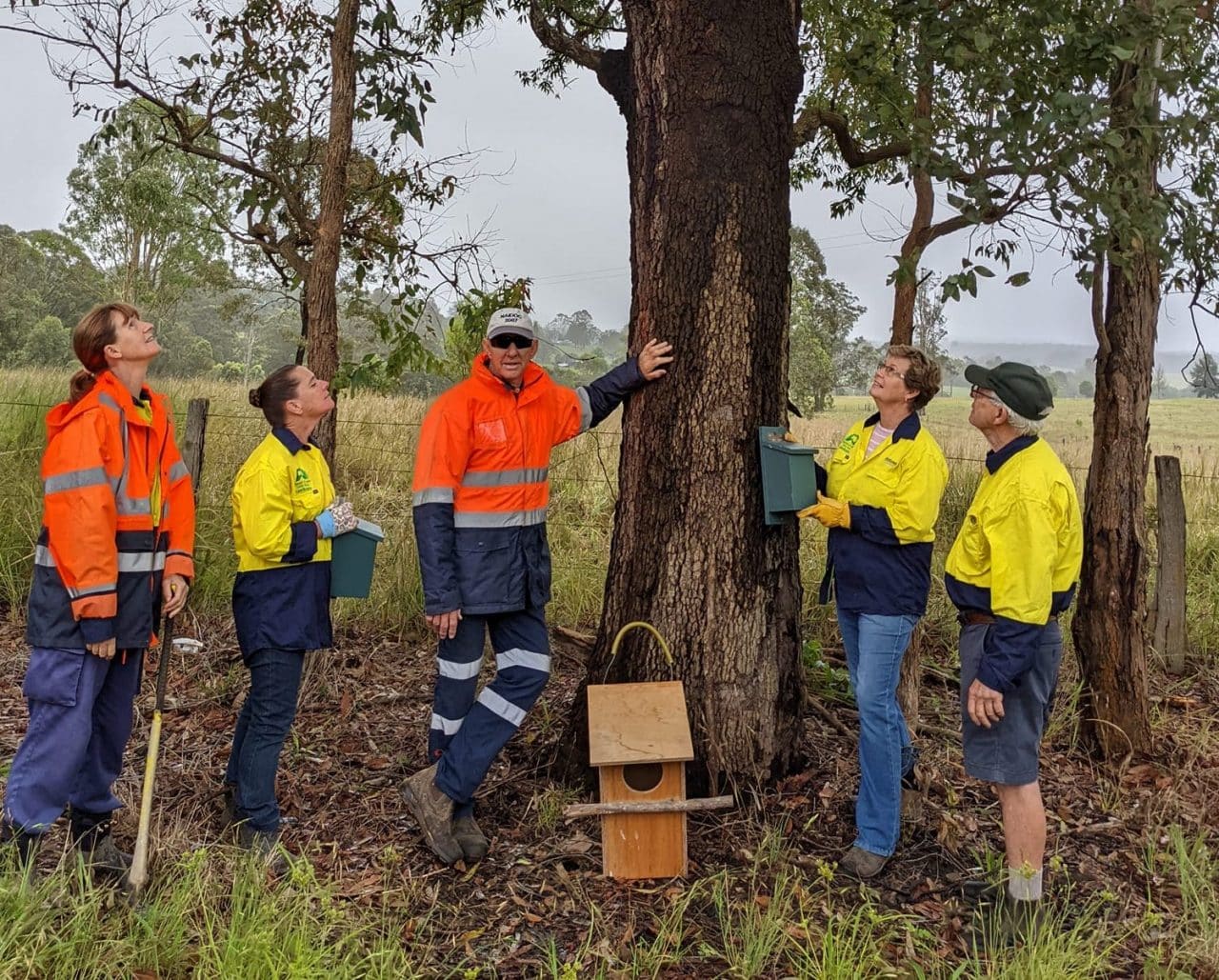 Great Lakes Landcare