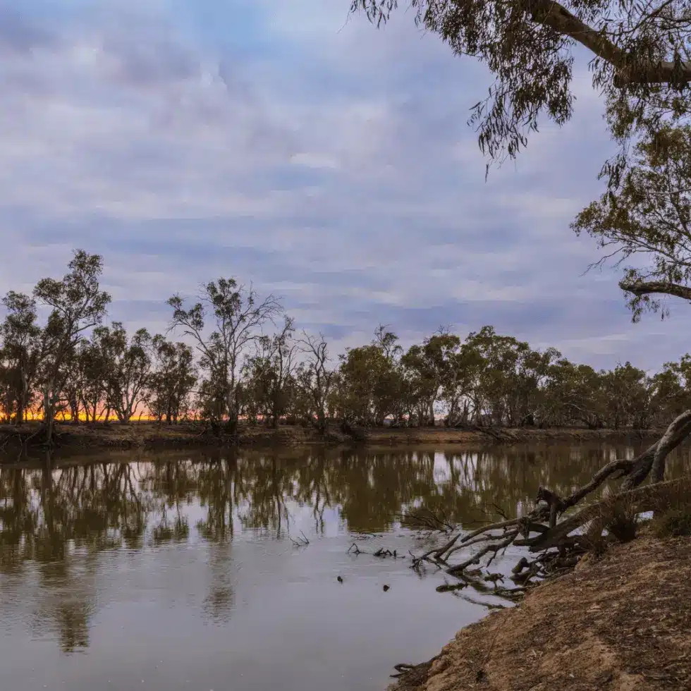 Stewarts-River-Catchment-Group