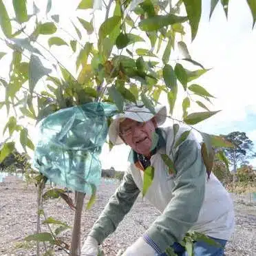 Taree-Landcare