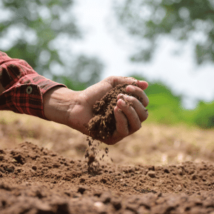 Coming Together For Soil Health