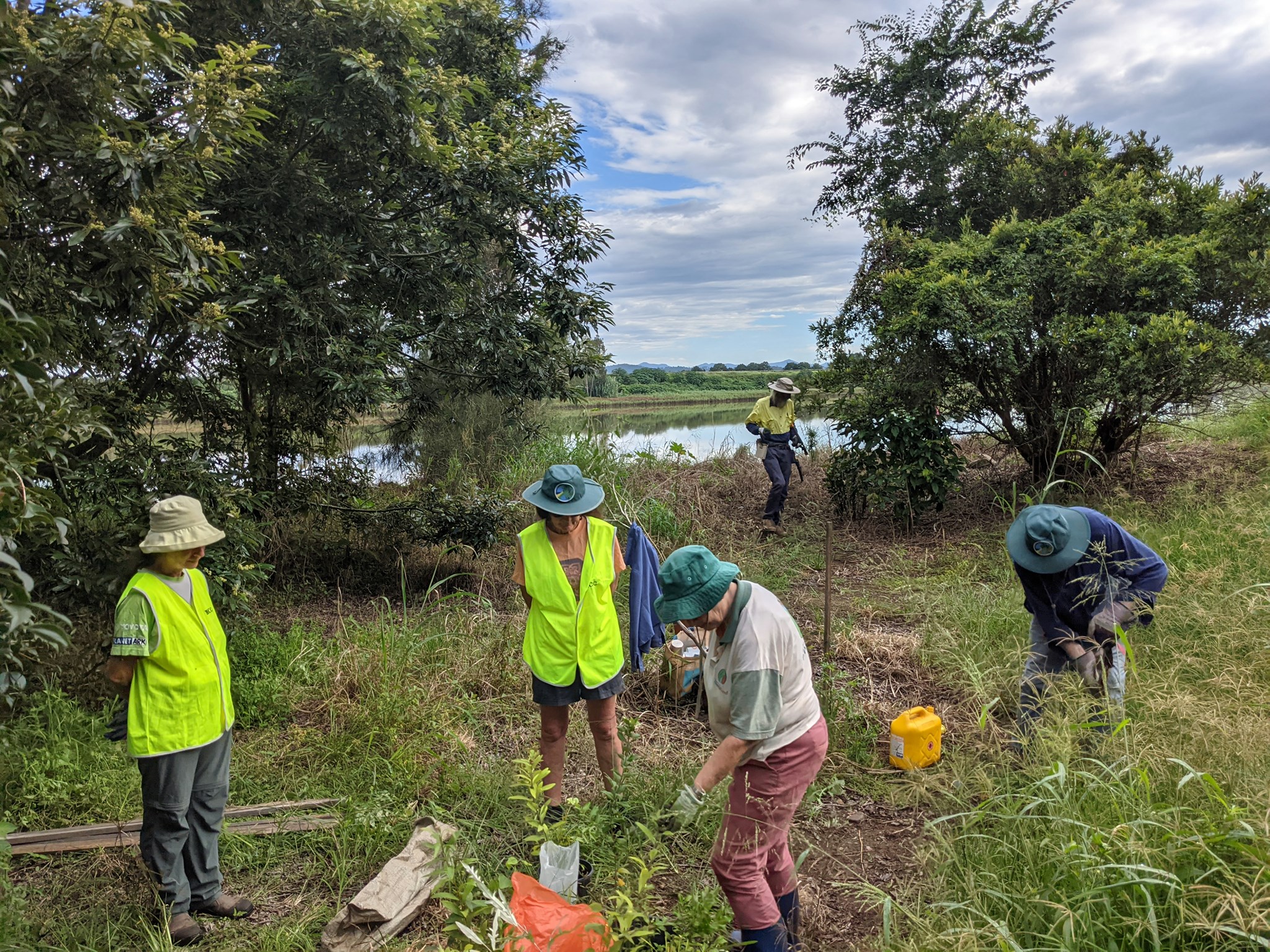 MidCoast2TopsLandcare