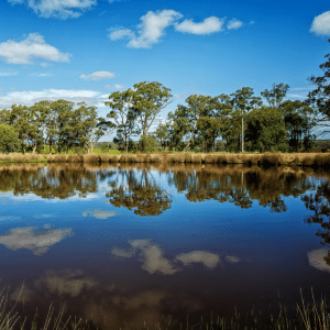 Water Quality Manual – A Guide for Rural Landholders