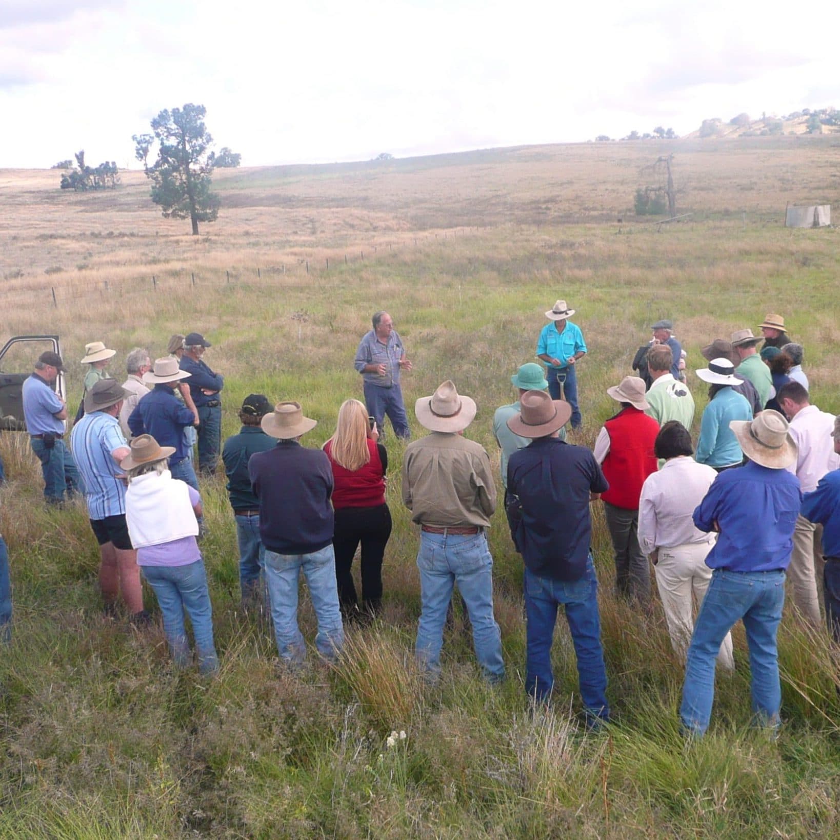 Conservation on Private Land - MidCoast2Tops