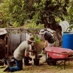 MidCoast Growers Network