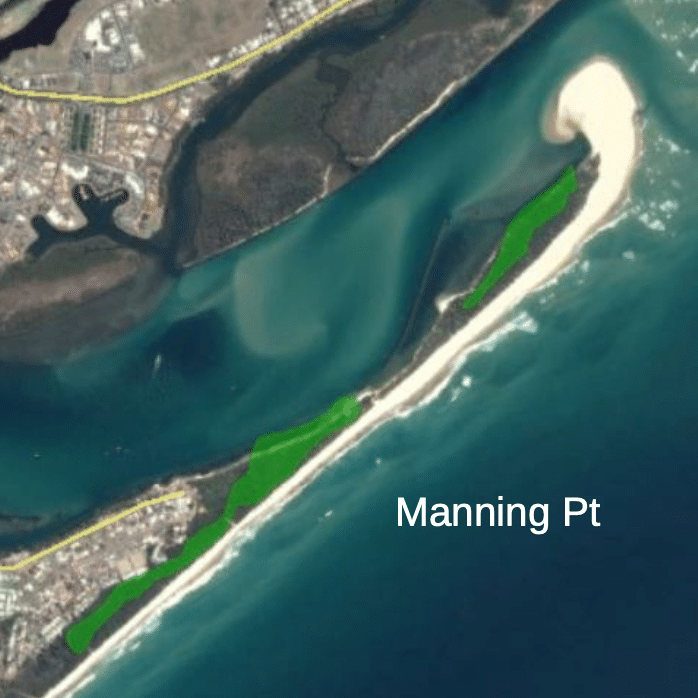 Manning-coastcare- Manning Littoral Rainforest Brochure