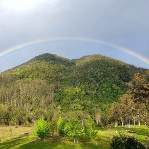 Tops Landcare Group