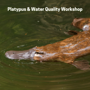 Platypus & Water Quality Workshop – Sunday November 10th