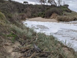 Manning Coastcare- Future Preparedness Strategy